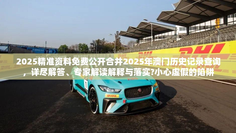 2025精准资料免费公开合并2025年澳门历史记录查询，详尽解答、专家解读解释与落实?小心虚假的陷阱